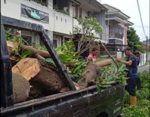 Jasa Tebang Pohon 234