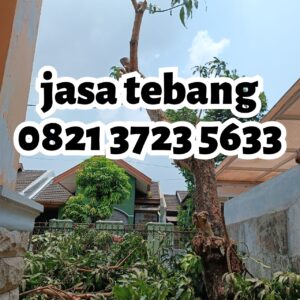 Jasa Tebang Pohon 234