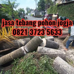 Jasa Tebang Pohon 234