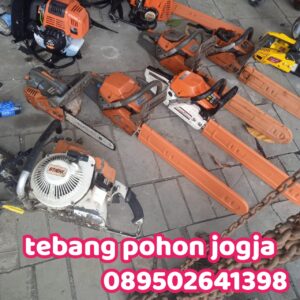 Jasa Tebang Pohon 234